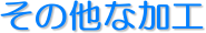 ���̑��ȉ��H